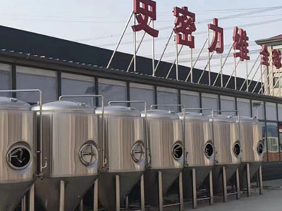 商丘精酿啤酒设备厂—如何判断精酿啤酒设备的密封件需要更换？